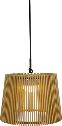 Picture of New Garden New Garden OKINAWA 40 HANG