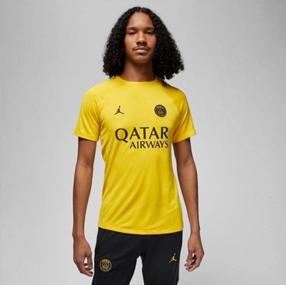Изображение Nike Koszulka Nike PSG DF Academy Pro SS Top PM 4TH DR4906 720