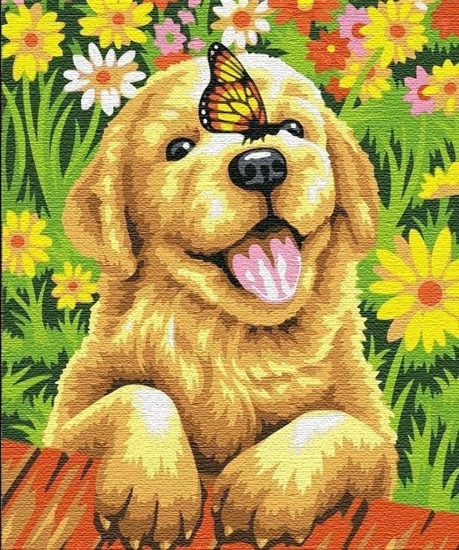 Picture of Norimpex Malowanie po numerach - Radosny szczeniak 40x50cm