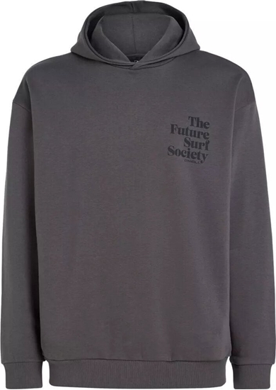 Изображение O Neill Mska Bluza FUTURE SURF SOCIETY HOODIE