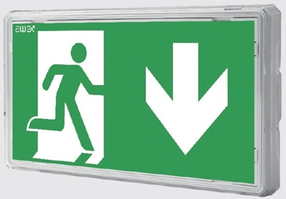 Attēls no Oprawa EXIT S LED IP65 1W 1h dwuzadaniowa PT biaa