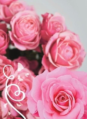 Attēls no Pan Dragon Karnet B6 Uniwersalny