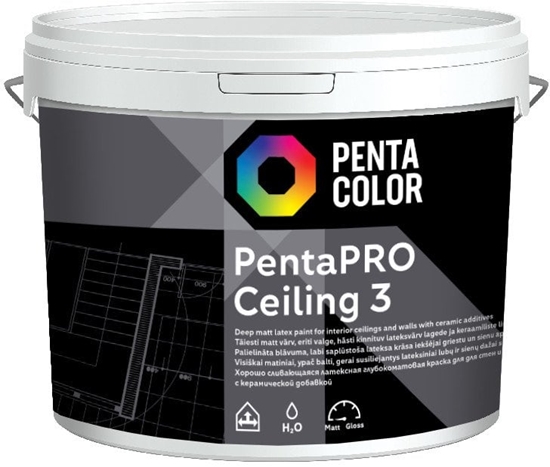 Picture of Pentacolor PAINT PENTACOLOR PENTAPRO CEILING BAL10L