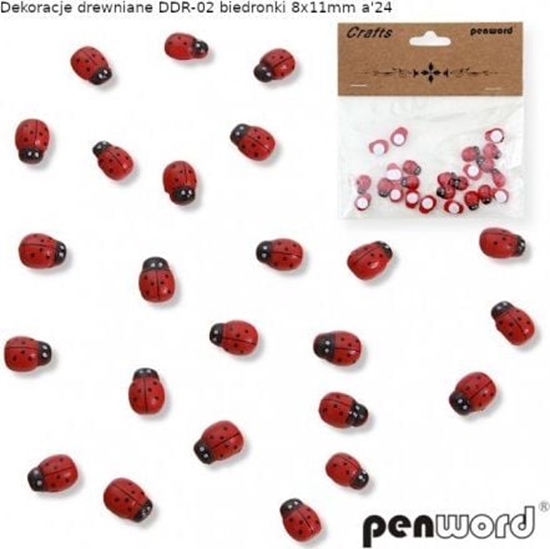 Изображение Penword DEKORACJE DREWNIANE DDR-02 BIEDRONKI 8x11mm a24 Penword
