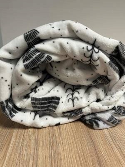 Picture of POCIEL CORAL ROT233023-19 160x200 5905742021168