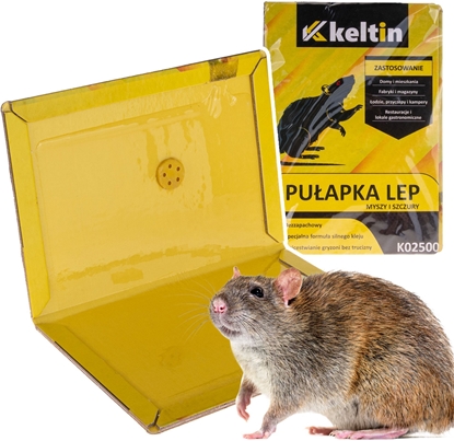 Изображение Puapka lep na myszy i szczury (200)