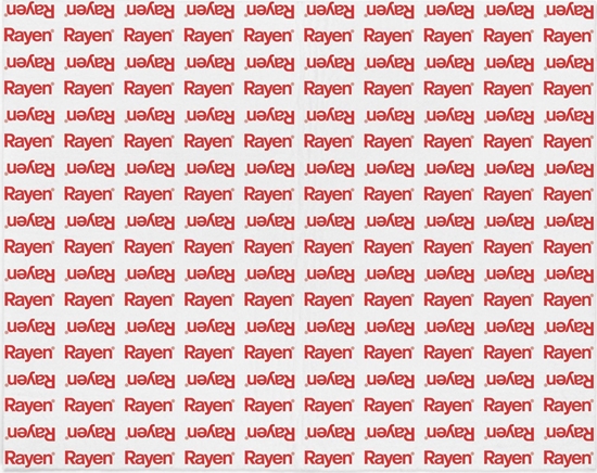 Picture of Rayen Rayen Filtr do okapu kuchennego 57 x 47 cm