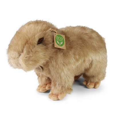 Attēls no Rappa - Pluszowa realistyczna maskotka Kapibara 30 cm Eco-Friendly