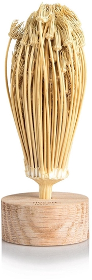 Picture of Rivsalt TOOTHPICK