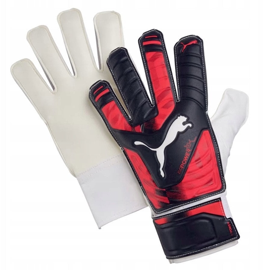 Picture of Rkawice Puma  Evopower Grip 4 Glove 040983-16