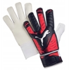 Picture of Rkawice Puma  Evopower Grip 4 Glove 040983-16