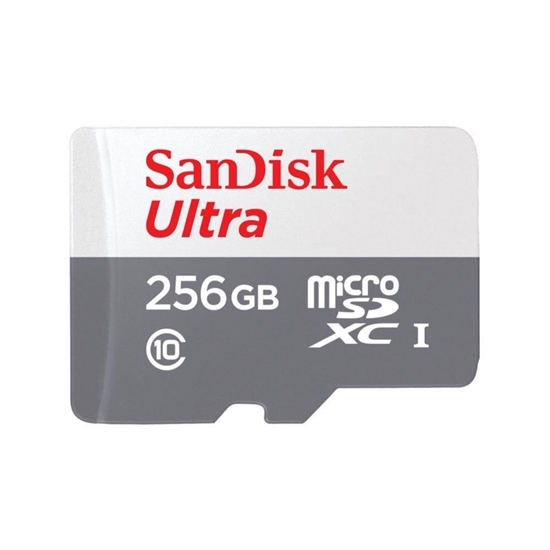 Picture of SANDISK BY WESTERN DIGITAL MEMORY MICRO SDXC 256GB UHS-I/SDSQUNR-256G-GN3MN SANDISK
