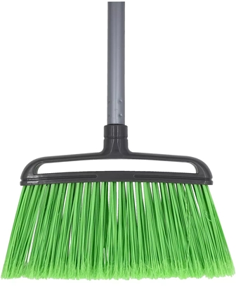 Picture of SAUBER ra birste ar ktu