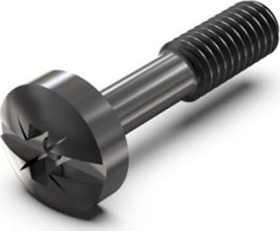 Изображение SCHROFF ruba konierzowa SCHROFF z rowkiem krzyowym, M2,5 x 12,3 mm, stal czarna, 100 szt.