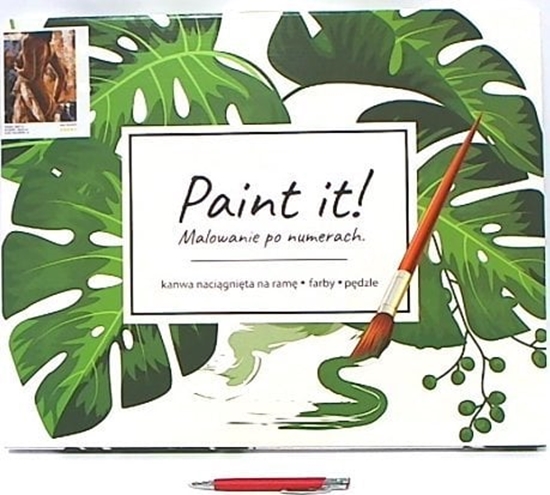 Picture of symag-llorens Malowanie po numerach Kobieco BS8714 80850