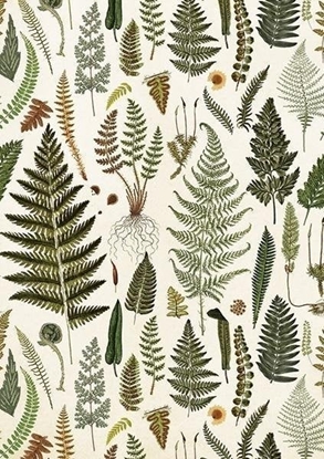 Attēls no Skona Ting Karnet ST428 B6 + koperta Paprotki