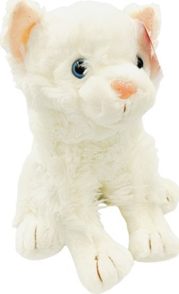 Picture of Smily Play Smily Play Maskotka pluszowy kot pluszak kotek