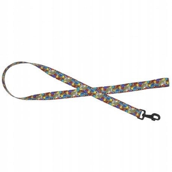 Picture of Smycz dla psa tama Dream Party, 25mm/120cm