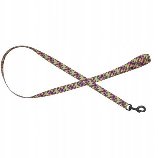 Picture of Smycz dla psa tama Hawaje, 25mm/120cm