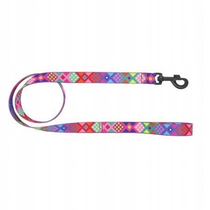 Attēls no Smycz dla psa tama Peru, 16mm/120cm