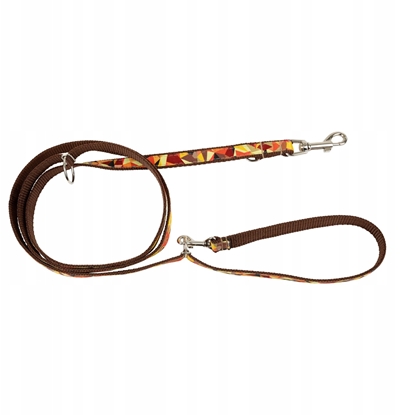 Picture of Smycz dla psa, wzr jesie, regulowana, tama, 16MM/220CM brzowa