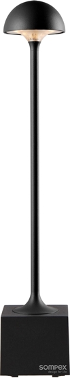 Picture of Sompex FLORA black Battery-operated Outdoor Light