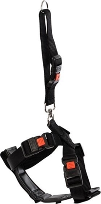 Picture of Sourcing CAR SAFETY HARNESS KARLIE 40-60CM BLACK