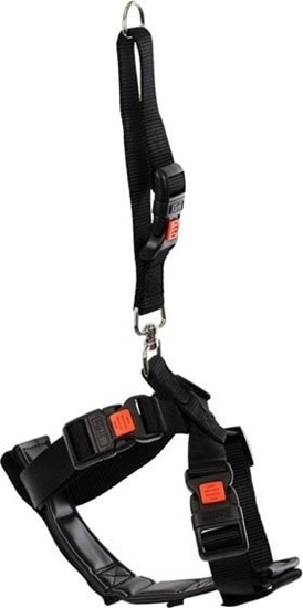 Picture of Sourcing CAR SAFETY HARNESS KARLIE 40-60CM BLACK