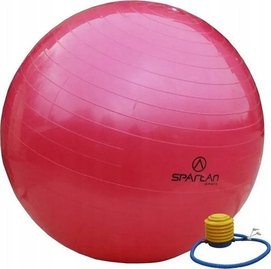 Изображение Spartan Sport Pika gimnastyczna SPARTAN 95 cm