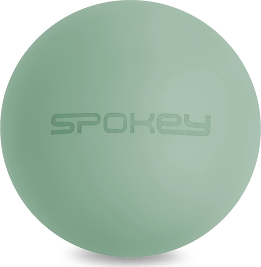 Picture of Spokey Pieczka do masau Spokey HARDY