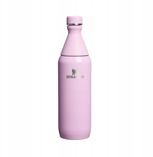 Изображение Stanley butelka All Day Slim 0.6L Cherry Blossom G