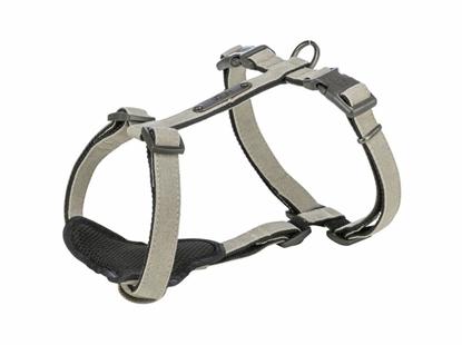 Picture of Szelki dla psa Trixie CityStyle Arns Jasnoszary XS/S