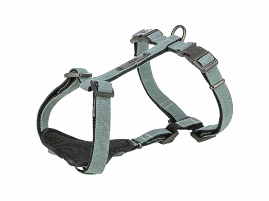 Picture of Szelki dla psa Trixie CityStyle Arns Kolor Zielony M/L