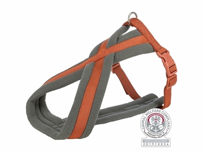 Picture of Szelki dla psa Trixie Confort Premium Pomaraczowy XS/S