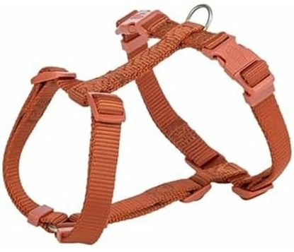 Picture of Szelki dla psa Trixie Premium Pomaraczowy S/M