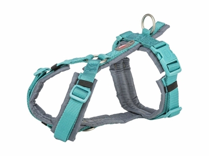 Attēls no Szelki dla psa Trixie Premium Trekking Grafit Jasnoniebieski XL