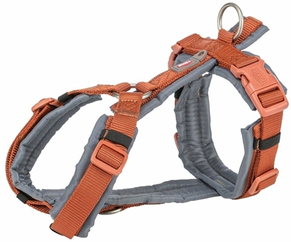 Picture of Szelki dla psa Trixie Premium Trekking Pomaraczowy Grafit M