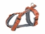 Picture of Szelki dla psa Trixie Premium Trekking Pomaraczowy Grafit S