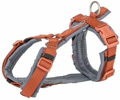 Picture of Szelki dla psa Trixie Premium Trekking Pomaraczowy Grafit XL