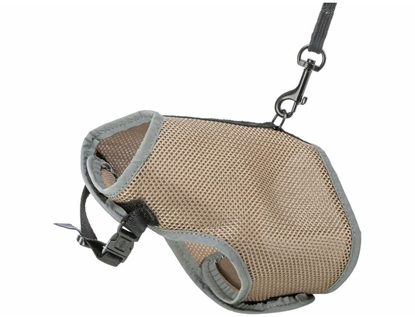 Picture of Szelki dla psa Trixie Taupe