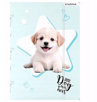 Изображение TECZKA Z GUMKA PAP A4 DOGGY STK FOL10/100