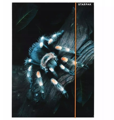 Изображение TECZKA Z GUMKA PAP A4 SPIDER STK FOL10/100