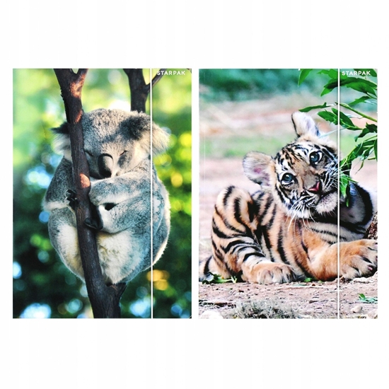 Изображение TECZKA Z GUMKA PAP A4 WILD ANIMAL2 STK FOL10/100