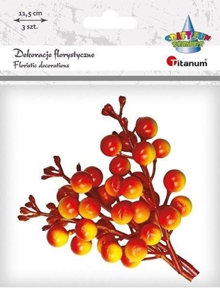 Picture of Teka Ga±zki owoców winobluszczu pomaracz.-óte 3szt