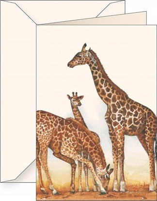 Picture of Teka Karnet B6 + koperta 7503 yrafy