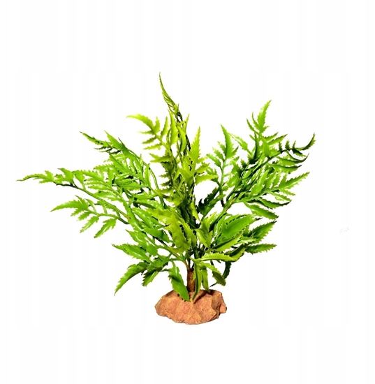 Изображение Terra Natura Dekoracja terrarystyczna  rolina pustynna na podstawce dua 29cm