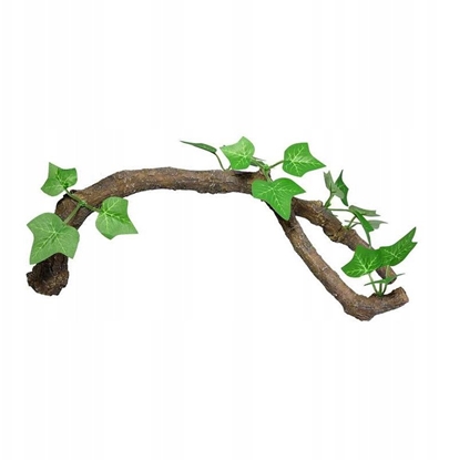 Изображение Terra Natura Dekoracja terrarystyczna ga z limi duga 34cm