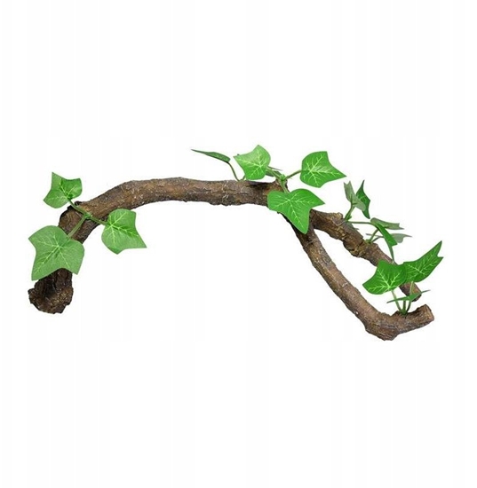 Изображение Terra Natura Dekoracja terrarystyczna ga z limi duga 34cm