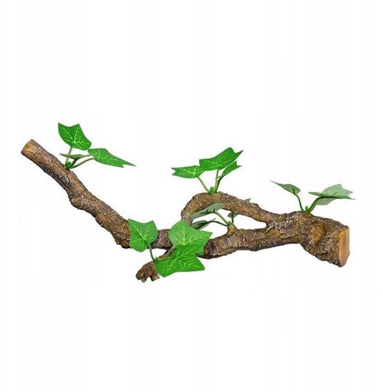 Изображение Terra Natura Dekoracja terrarystyczna ga z limi rednia 31 cm