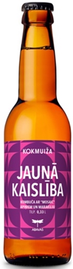 Picture of Tējas dzēriens KOKMUIŽA Kombuča, Jaunā kaislība, apiņu, marakuju, stiklā, 0.33l (DEP)